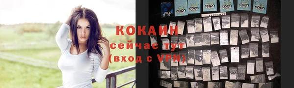 дживик Сосновый Бор