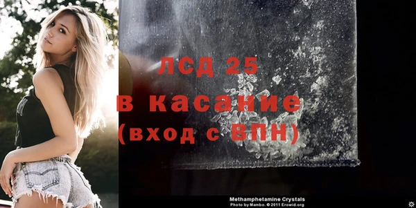 дживик Сосновый Бор